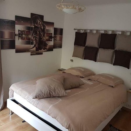 23 Rue Jean Amade Apartment Ceret Bagian luar foto