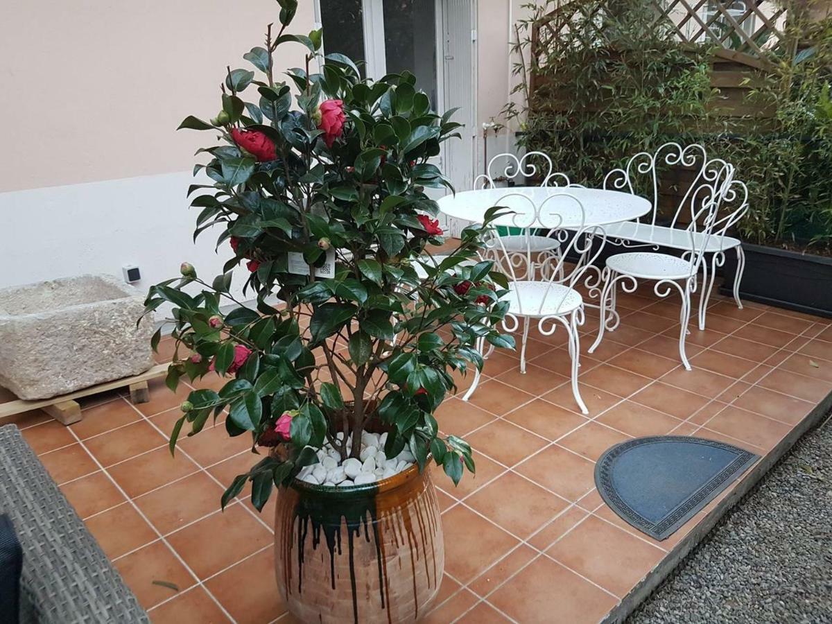 23 Rue Jean Amade Apartment Ceret Bagian luar foto