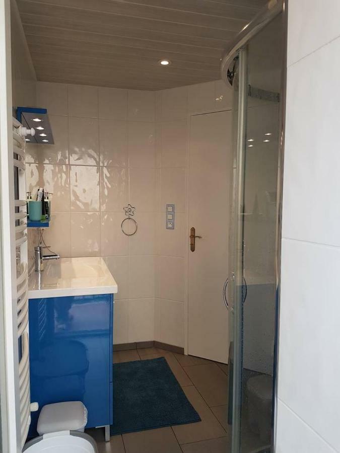 23 Rue Jean Amade Apartment Ceret Bagian luar foto
